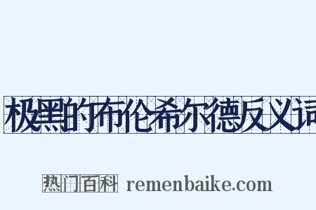 极黑的布伦希尔德反义词是什么意思的图片